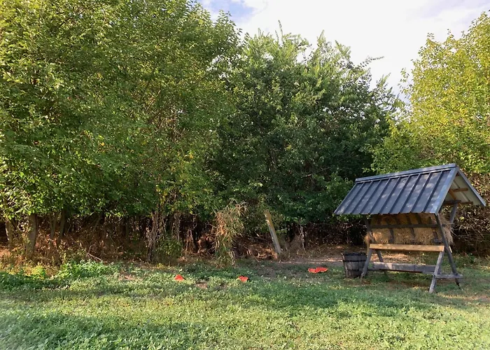 Privat Apartament